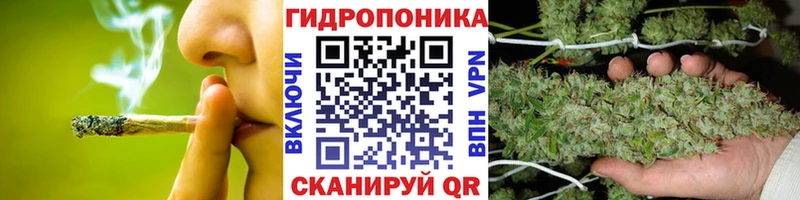 Каннабис сатива  Купить  Гороховец 